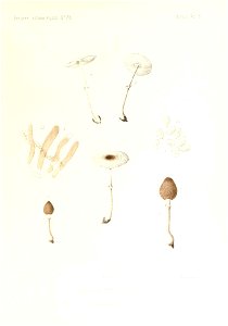 n48_w1150