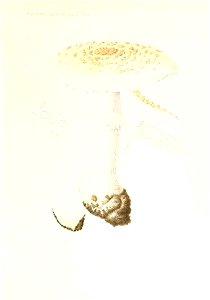 n18_w1150