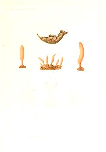 n376_w1150