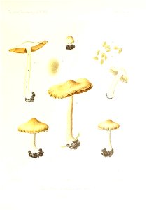 n256_w1150