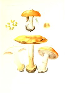 n226_w1150