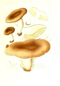 n106_w1150