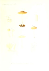 n196_w1150