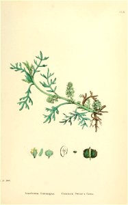 n576_w1150