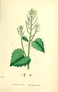 n456_w1150