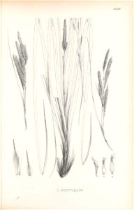 n476_w1150