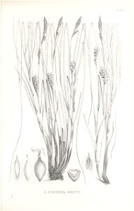 n386_w1150