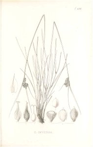 n266_w1150