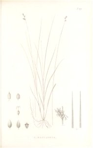 n236_w1150