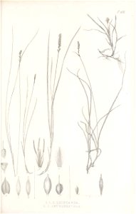 n206_w1150