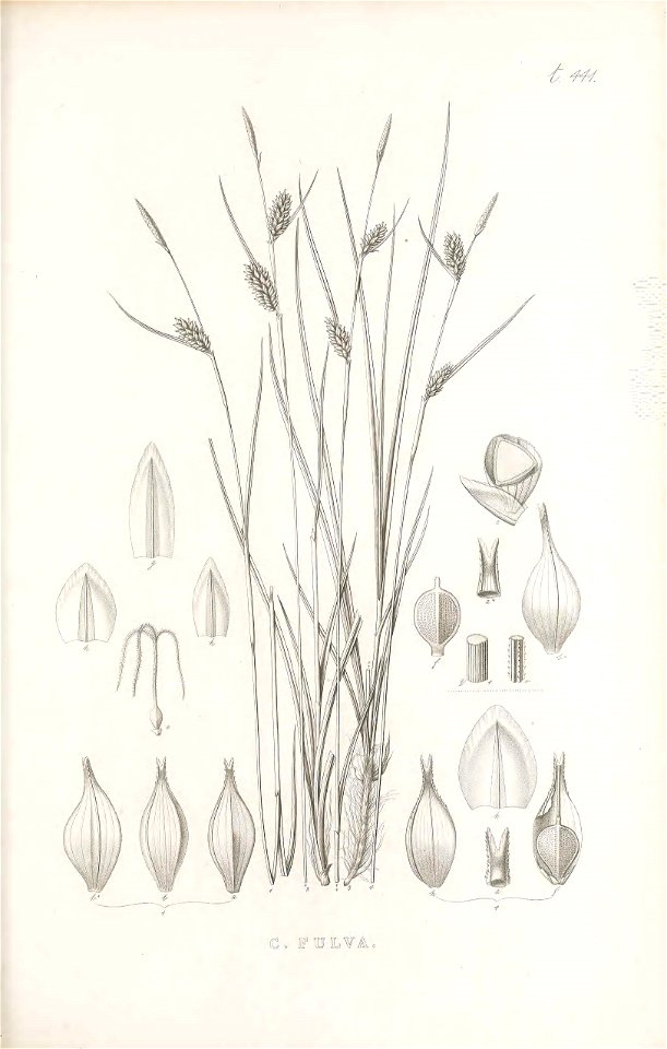 n176_w1150