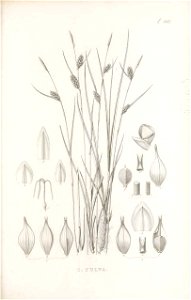 n176_w1150