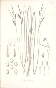 n146_w1150
