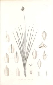 n142_w1150