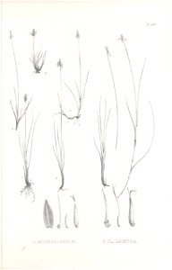 n472_w1150