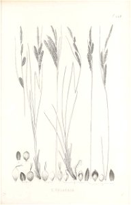 n412_w1150