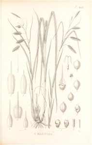 n292_w1150