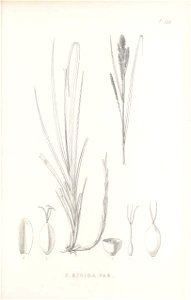 n440_w1150