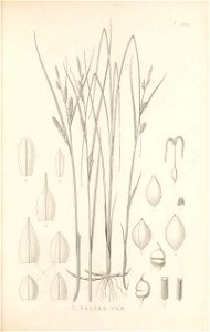 n350_w1150