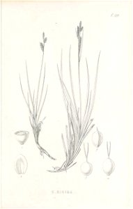 n438_w1150