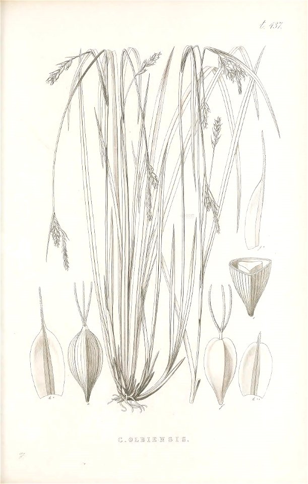 n168_w1150