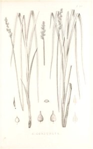 n194_w1150
