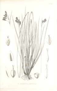n134_w1150