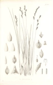 n164_w1150