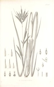 n104_w1150
