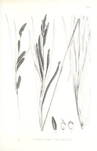 n406_w1150