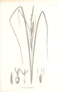 n316_w1150