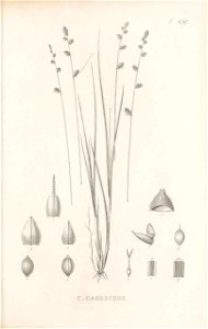 n286_w1150