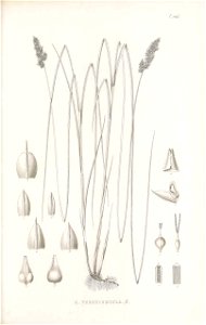 n226_w1150