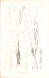 n166_w1150