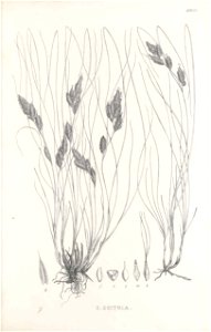 n494_w1150