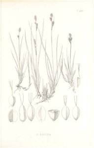 n434_w1150