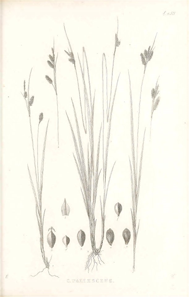 n194_w1150