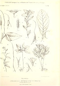 n68_w1150