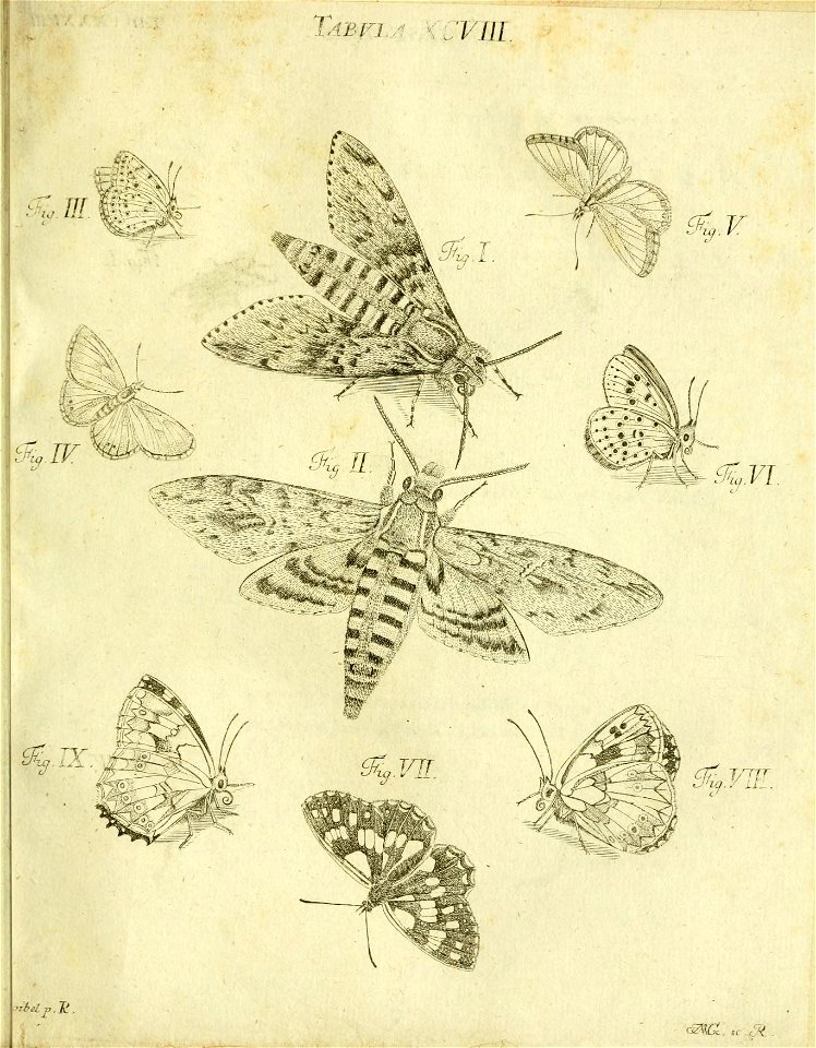 n228_w1150