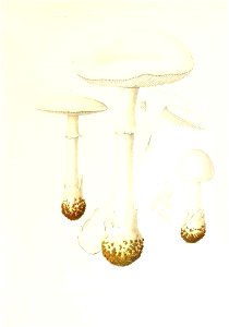 n16_w1150