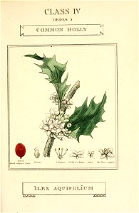 n98_w1150