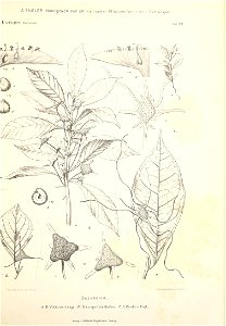 n66_w1150