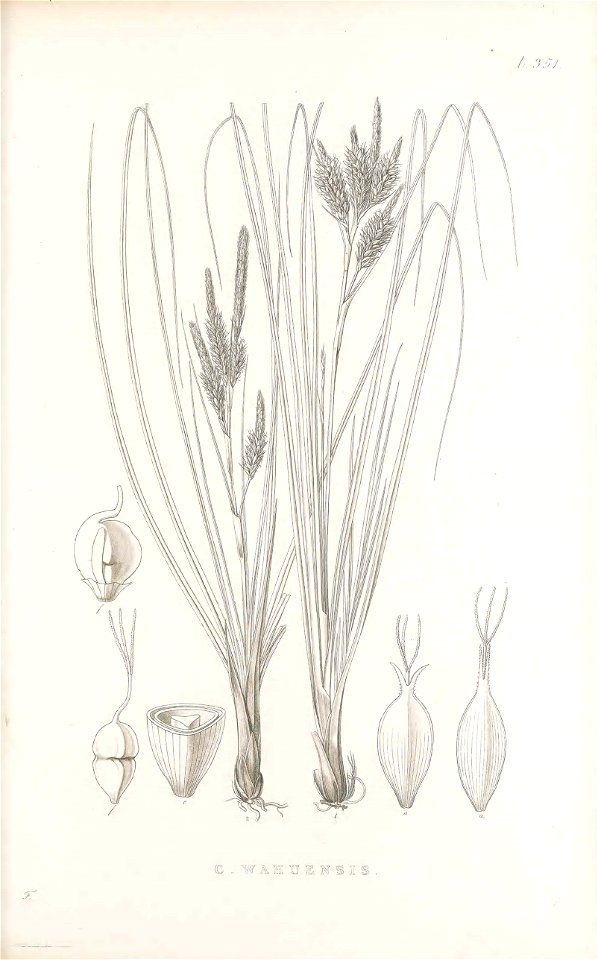 n112_w1150