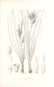 n112_w1150