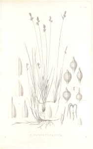 n220_w1150