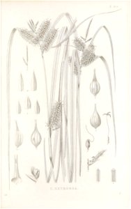n190_w1150