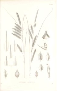 n160_w1150