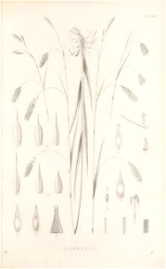 n40_w1150