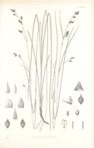 n406_w1150