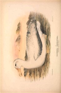 n533_w1150